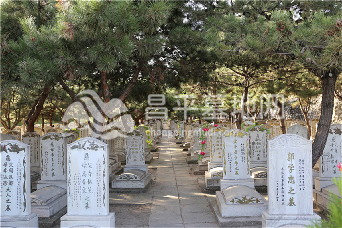太子峪陵园墓地景观
